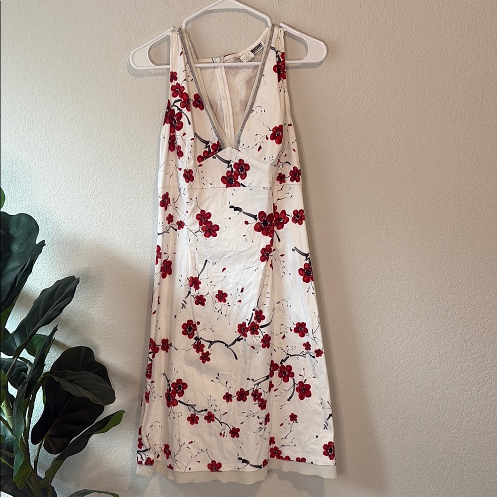 Necessary Objects White and Red Floral Dress